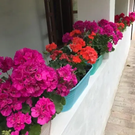 Kan-forrest House With A View *