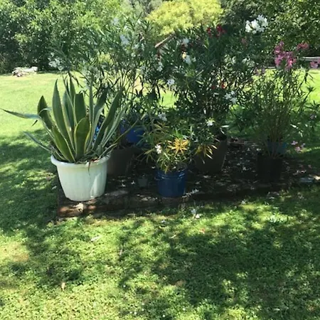 Kan-forrest House With A View Kan