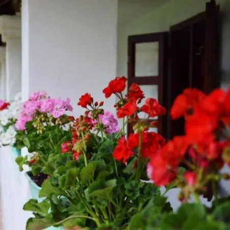 Dom wakacyjny Kan-forrest House With A View