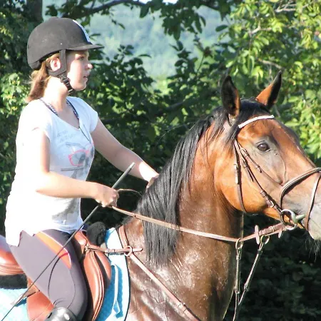 Kan-forrest House With A View *