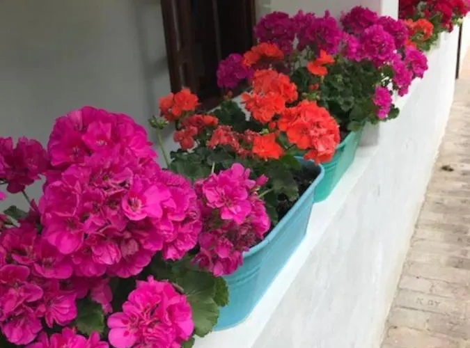 Kan-forrest House With A View *