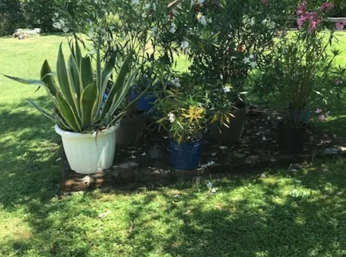 Kan-forrest House With A View Kan