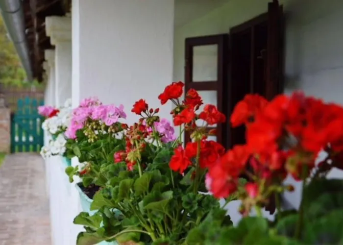 Nyaraló Kan-forrest House With A View